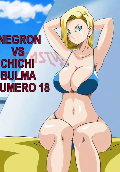NEGRON VS CHICHI BULMA Y NUMERO 18