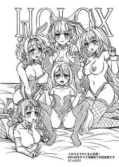 HOLOX Himitsu Kessha Keiei no Susume 05