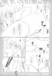 (C71) [Lili Marleen (Kinohara Hikaru)] COSMOS (Mahou Shoujo Lyrical Nanoha)
