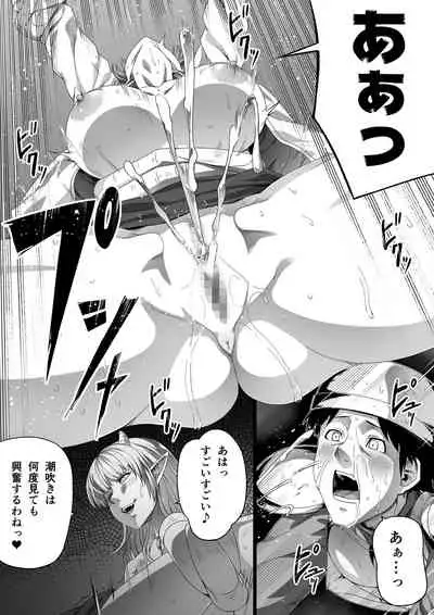 [Road=Road=] Chikara Aru Succubus wa Seiyoku o Mitashitai dake. 2