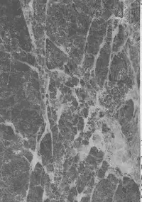 [TSK (Fuuga Utsura)] ff fortissimo. (Final Fantasy XII)