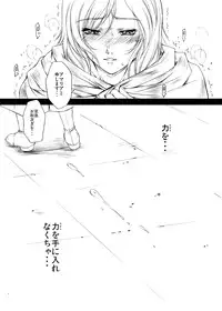 [Gakuen Hanimokuo (Shinonome Maki)] Doll (Final Fantasy XII) [Digital]