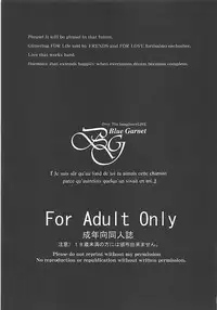 (C94) [BLUE GARNET (Serizawa Katsumi)] Neko Musume o Mesu ni Shitai (Gegege no Kitarou) [Chinese]