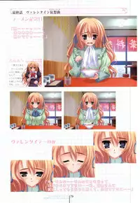 Otome wa boku ni koi shiteru Visual Fanbook (Otoboku)