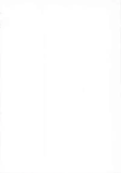 Kagami no Naka no CHERRIES 2nd