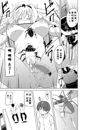 Sasara no Mushiasobi (Chinese translation)