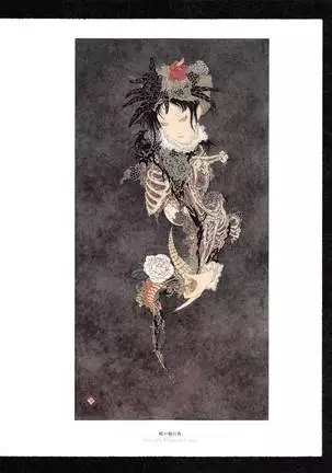Takato Yamamoto - Rib of a Hermaphrodite