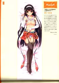 Dakimakura Cover Gashuu Bishoujo Game Hen