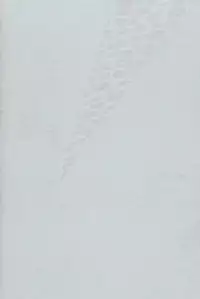 (SPARK8) [inumog (Fujino, Marumo)] Kimi to Nekomimi (Kuroko no Basuke) [English] [RGOTE Scans]