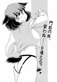 (Reitaisai 8) [Sekitan Bukuro (Fey Tas)] Kyouno○○ko (Touhou Project)