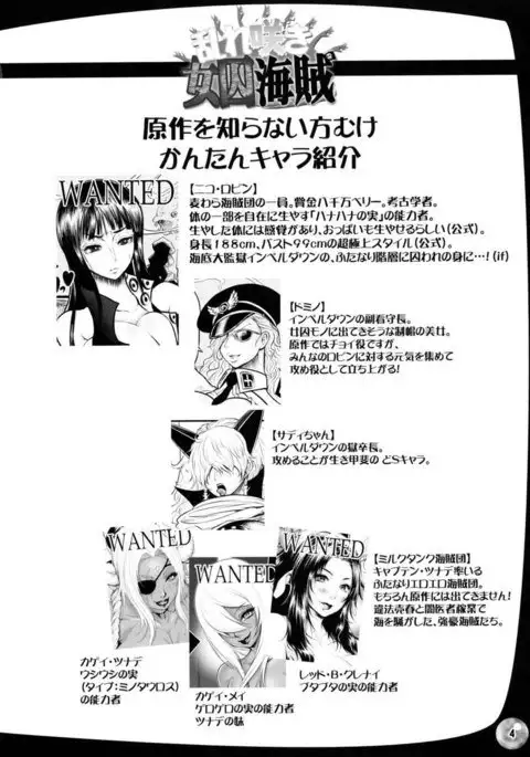 Midare Saki Joshuu Kaizoku