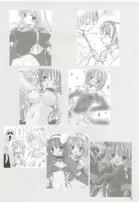 [観月堂] 電撃ラグナ (RO)