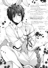 (CT28) [brand nyu (nyu)] Sono Usagi, Hatsujouchuu ni Tsuki. (Granblue Fantasy)