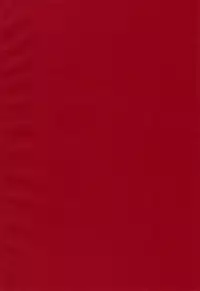 (C77) [Sankaku Apron (Sanbun Kyoden, Umu Rahi)] Akebi no Mi - Satomi AFTER