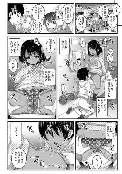 Soutaisei Virgin Theory