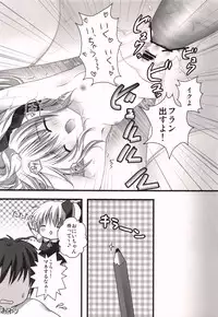 (COMIC1☆4) [KINOKONOMI (Kino)] Imouto Itazura Flan-chan (Touhou Project)