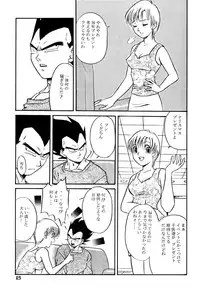 (C63) [Ryujin-kai (HITO Ribuki)] GIFT (Dragon Ball Z)