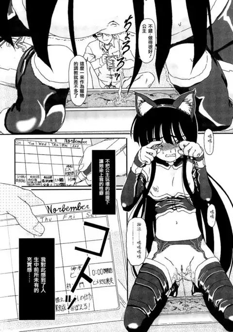 Shoujo no Kaikata Shitsukekata ~ Bishoujo Kankin Shiiku Nikki ~