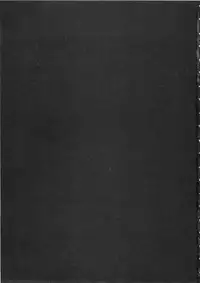 [Sakabe Shuuichi] Shin Rape Vol 2