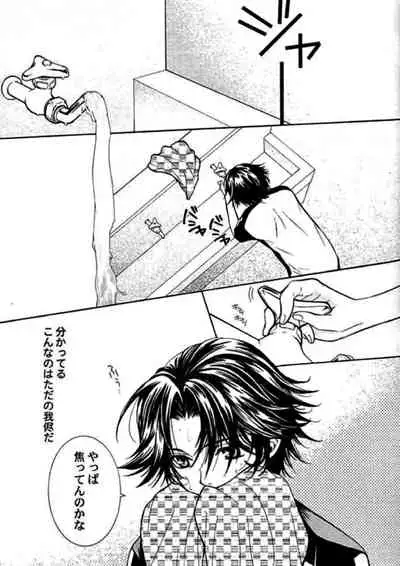 [E-PLUS (Mikoto Aogiri)] ROSE and HONEYCOMB (The Prince of Tennis)