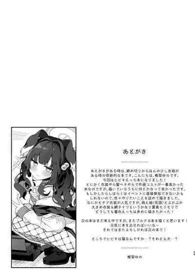 Nekoduka Hibiki ha Kyou mo Kotowarenai