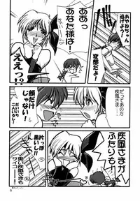 [U-A Daisakusen / Lapislazuli=corporation] Ruridou Gahou X (vol.10) (Dead or Alive)