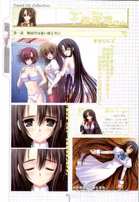 Otome wa boku ni koi shiteru Visual Fanbook (Otoboku)