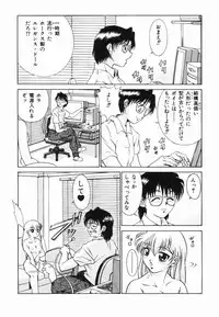 [Kuma-san] Purple Rain