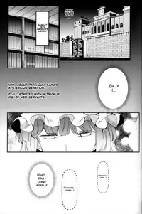 (Shuuki Reitaisai 4) [Nyuu Koubou (Nyuu)] Totsuzen Gekiiki Patchouli-sama (Touhou Project) [English] [SMDC] [Incomplete]