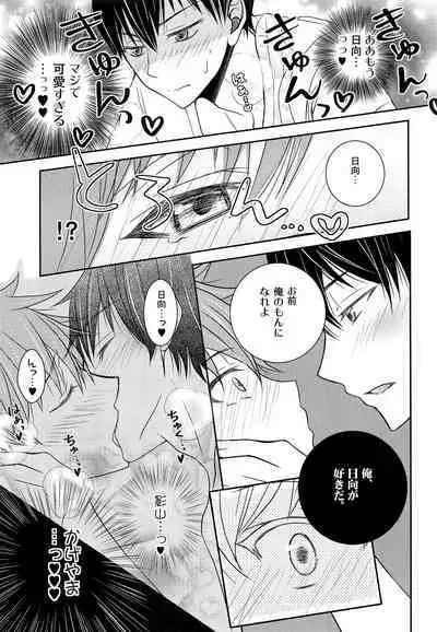 (SUPER COMIC CITY 23) [puniiyu] Hinata to Koi ni Ochiru Made— (Haikyuu!!)