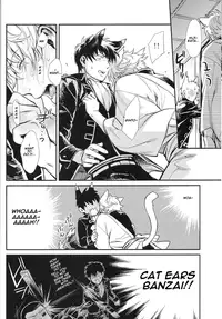 (HaruCC19) [3745HOUSE (MIkami Takeru)] Like cat and dog (Gintama) [English]