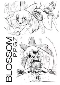 (C70) [Dakimakuma, Jingai Makyou Club (WING☆BIRD)] CHARA EMU W☆BC 001 Demashita! Power Puff Girls Z 001 (Demashita Power Puff Girls Z)