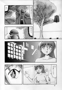 (C52) [Mengerekun (Tacchin)] CAMELEON TECHNOLOGY 3 (Slayers)