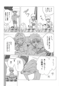 (C94) [Sugar In (Various)] Sakura-chan to Chomechome Suru Ohanashi (Cardcaptor Sakura)