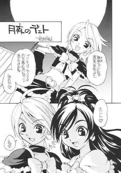 (Puniket 9) [Marchen BOX (Various)] Two Toned Romps (Futari wa Pretty Cure)