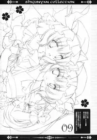 (C80) [Shigunyan (Shigunyan)] Shigukore 27 (Various)