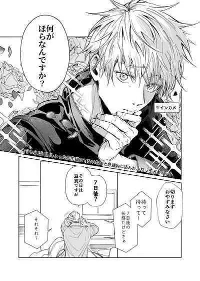 Kurakute Shizukade, Sore kara