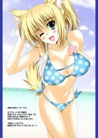 [HATENA-BOX (Oda Kenichi)] Yukikaze Chronicle (DOG DAYS) [Digital]
