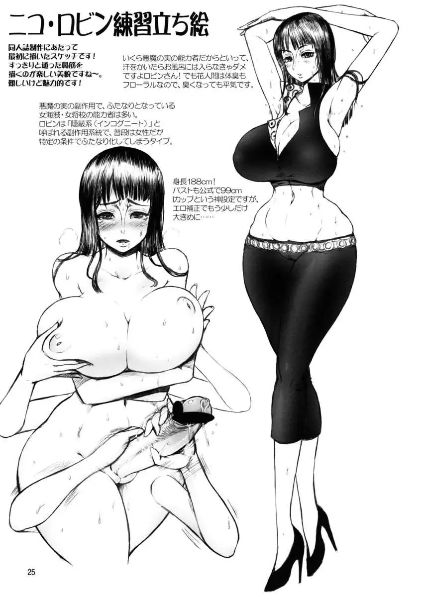 Midare Saki Joshuu Kaizoku