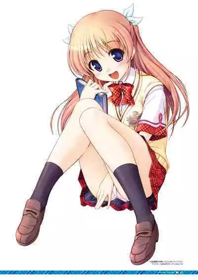 Daitoshokan no Hitsujikai Visual Fan Book Houkago Shippo Days & Dreaming Sheep Visual Fan Book