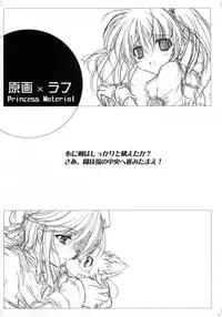 (C68) [StrayMoon (Miyama Zero)] Princess Brave! Jantaku no Kishi - Settei Gengashuu