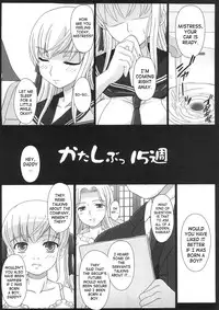 (C73) [Shiawase Kyouwakoku (Shiawase no Katachi)] Katashibu 15-shuu | Katashibu Week 15 [English]