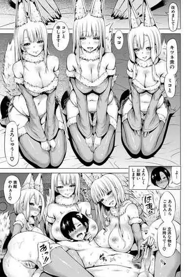 Isekai Harem Paradise Jou