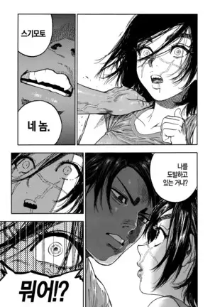 Koisugi | 코이스기