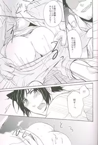 (C77) [4040, Sengoku cartoon (pei, Matsuzono)] Naiyou wa Futsuu janaikara... (Axis Powers Hetalia)