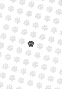 (SC28) [CIRCLE ENERGY (Imaki Hitotose)] NYANPOKOMYA~ (Various)