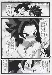 (C93) [Broken World (Iinano)] LOVE CHEAT (Dragon Ball Super)