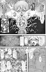 (C82) [FONETRASON (Ryutou)] Shield Knight Elsain Vol. 12 NETHER LABORATORY 2