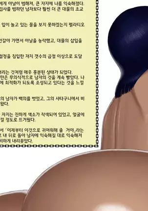 [Yamakawaya] Koukaishi to Koukogakusha no Sennyuu Roku (One Piece) [Korean]