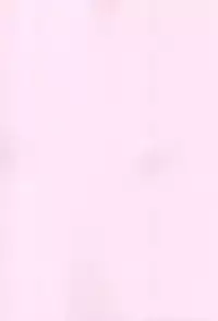 (CT31) [Brand Nyu (Nyu)] Risei Jouhatsu Astolfo (Fate/Grand Order)